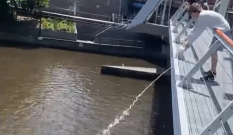 Yarra river 'milk boy' row explained: How Australian public united to report student prankster - Vimarsana News